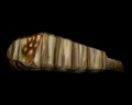 Image of Larvae