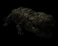 Image of Alligator