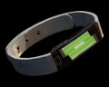 Image of ID Wristband (Visitor)