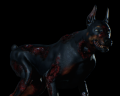 Image of Zombie Dog