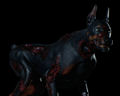 Image of 2 Zombie Dogs