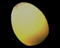 Image of Gold Chicken Egg