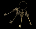 Image of Bunch of Keys