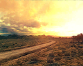 Image of Savanna