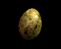 Image of Egg (Rotten)