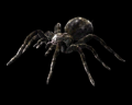 Image of Spider