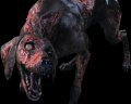 Image of Zombie Dog