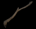 Image of Tree Branch