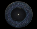 Image of Azure Eye