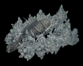 Image of Crystal Ancient Beast