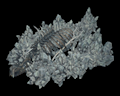Image of Crystal Ancient Beast