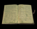 Image of The Masked Duke's Diary