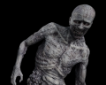 Image of ARK Zombie