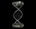 Image of Double Helix Model