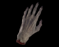 Image of Severed Hand