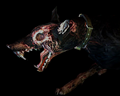 Image of 3 Zombie Dogs