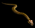 Image of Adder