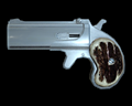 Image of Self Defense Gun