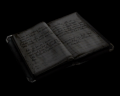 Image of Trevor's Diary