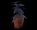 Image of 1 Blue Herb