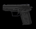 Image of Handgun SG
