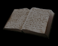 Image of Male Nurse&#039;s Diary (File)