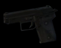 Image of Handgun SG