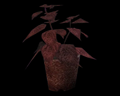Image of 2 Red Herbs