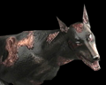 Image of Zombie Dogs
