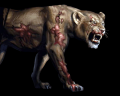 Image of Zombie Lioness