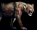 Image of 1 &times; Zombie Lioness