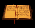 Image of Mysterious Journal
