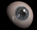 Image of Artificial Eye