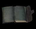 Image of Traveler's Diary